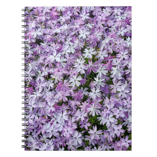 Caderno Espiral Jardim do Phlox Roxo (Frente)