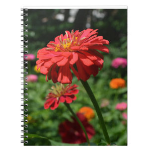 Caderno Espiral Jardim floral de laranja vermelho-elegante
