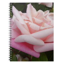 Caderno Espiral Jardim Floral Rosa Rosa Rosa Rosa Rosa Rosa Rosa R