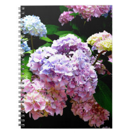 Caderno Espiral Jardim Hydrangea, rosa, azul, floral roxo