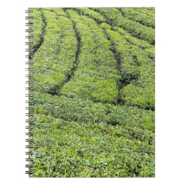 Caderno Espiral Jardins de chá de Munnar em 