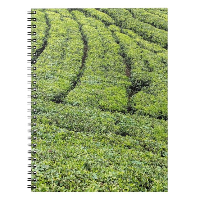 Caderno Espiral Jardins de chá de Munnar em  (Frente)