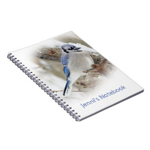 Caderno Espiral Jay azul na neve do inverno