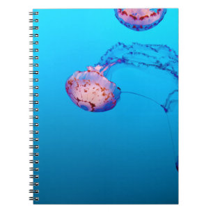 CADERNO ESPIRAL JELLY PESCA SUBÁGUA
