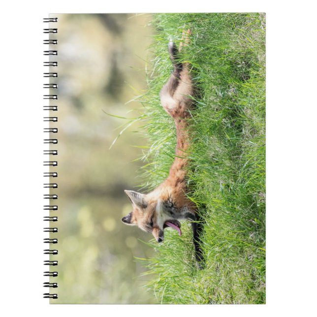 Caderno Espiral Jogo do Fox vermelho (Frente)
