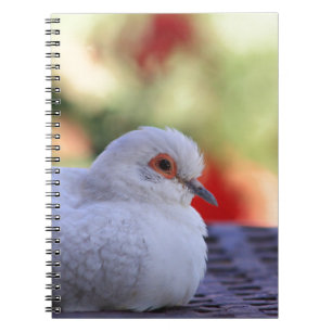 Caderno Espiral Jornal do pássaro da pomba do diamante