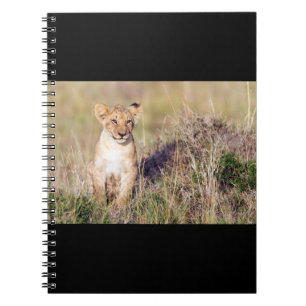 Caderno Espiral Jovem