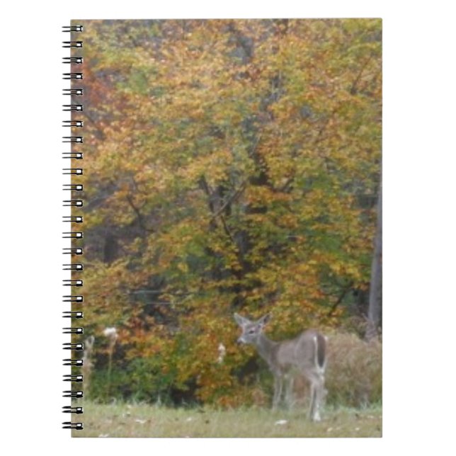 Caderno Espiral Jovem Bambi Deer com árvores de queda. (Frente)
