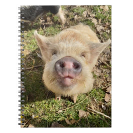 Caderno Espiral Juggling Daisies Mona Notebook