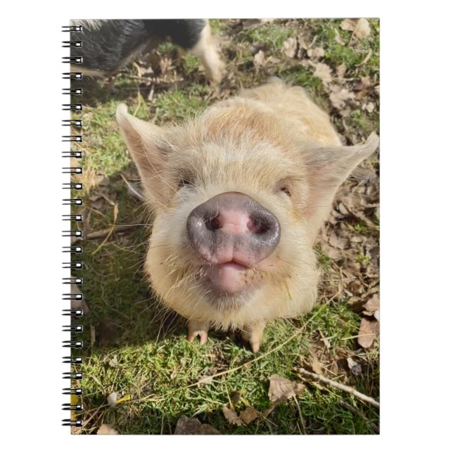 Caderno Espiral Juggling Daisies Mona Notebook (Frente)