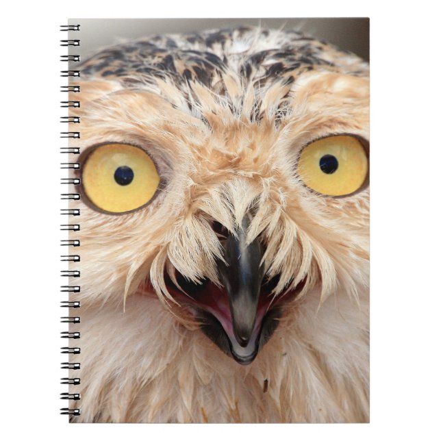 Caderno Espiral Juvenile Snowy Owl (Frente)