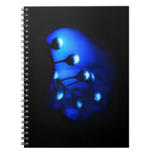 Caderno Espiral Kate