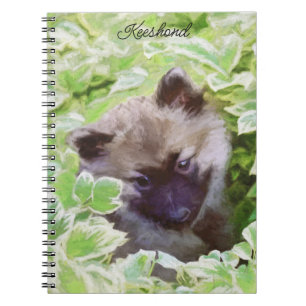 Caderno Espiral Keeshond Puppy na Pintura Original