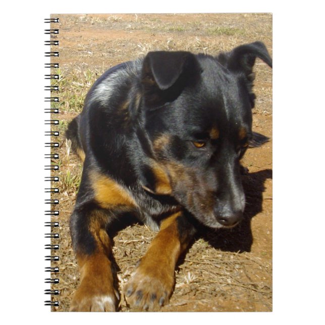 Caderno Espiral Kelpie_Fazenda_Life,_ (Frente)