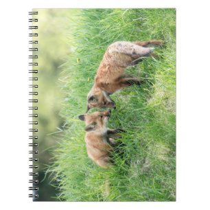 Caderno Espiral Kits de Raposa Vermelha