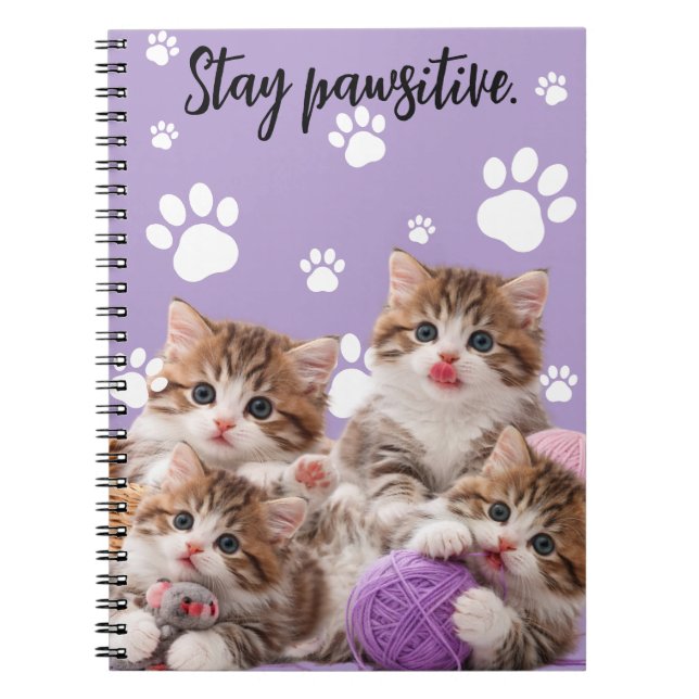 Caderno Espiral Kitten Stay Pawsitive Notebook (Frente)