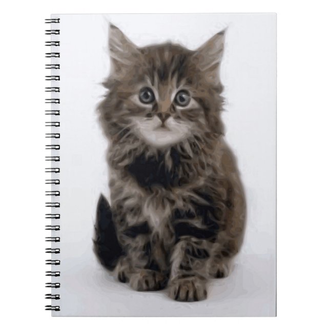 CADERNO ESPIRAL KITTY CAT (Frente)