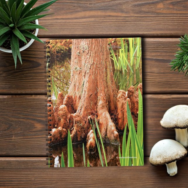 Caderno Espiral Knees de Ciprima Bald (Bald Cypress Knees in the Water Journal Cover Photo)
