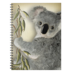 Caderno Espiral Koala bonito