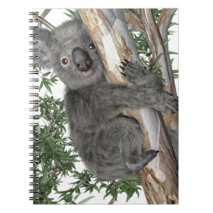 Caderno Espiral Koala em uma árvore