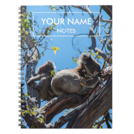 Caderno Espiral Koalas Personalizado