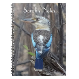 Caderno Espiral Kookaburra Bird