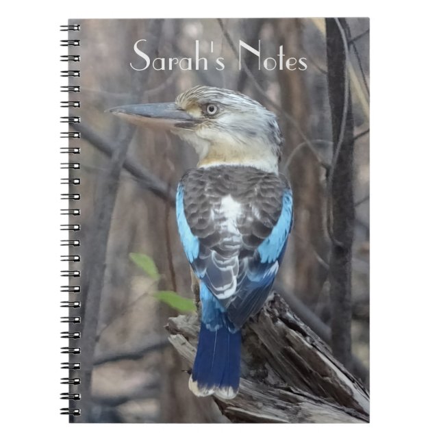 Caderno Espiral Kookaburra Bird (Frente)