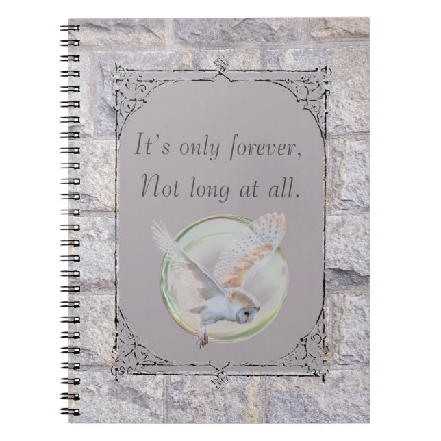 Caderno Espiral Labirinto É Só Para Sempre Coruja (Frente)