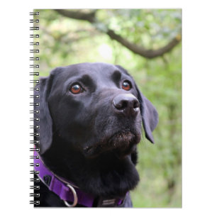 Caderno Espiral Labrador preto