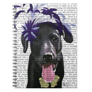 Caderno Espiral Labrador Preto Com Fascinador Azul