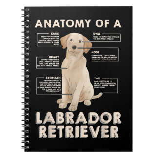 Caderno Espiral Labrador Retriever Lover Engraçado Anatomia de um