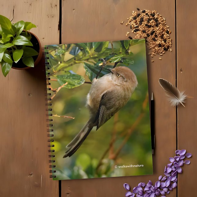 Caderno Espiral Lady Bushtit no California Lilac Bush (Lady Bushtit on the California Lilac Journal Cover Photo)