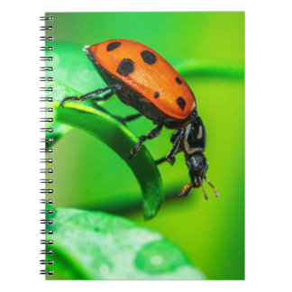 Caderno Espiral Ladybug Macro Spiral Notebook Nature Art Journal
