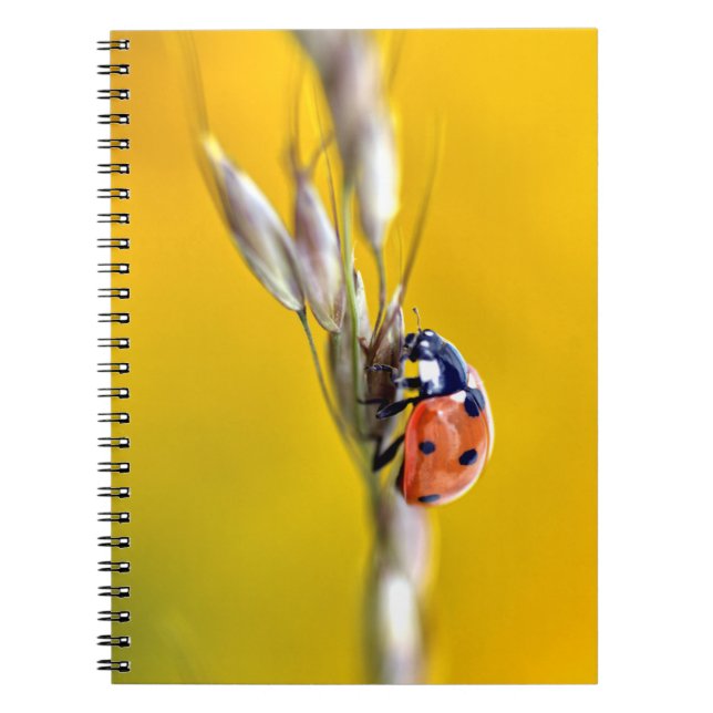 Caderno Espiral Ladybug no cartão-tronco, quebra-cabeça (Frente)