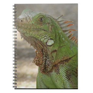 Caderno Espiral Lagarto Lounging