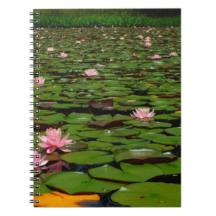 Caderno Espiral Lagoa de flor de lírio, de água doce, rosa