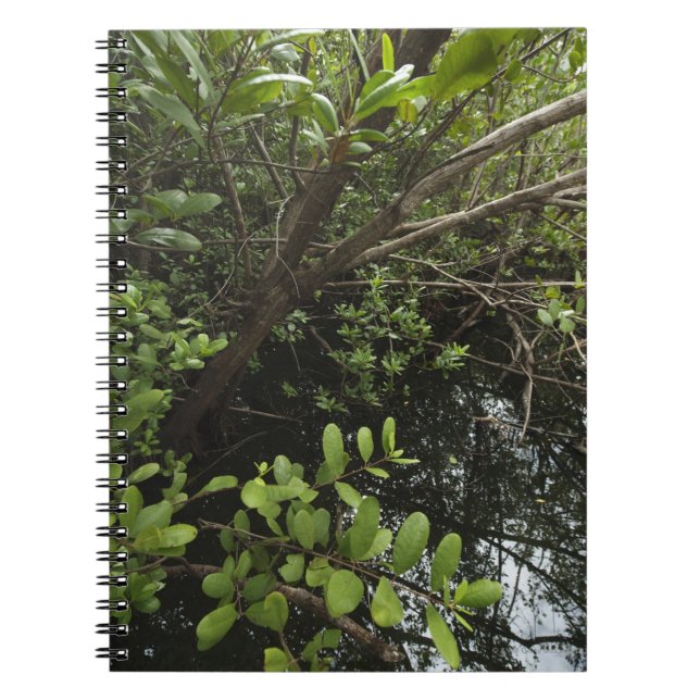Caderno Espiral Lagoa tropical de sal (Frente)