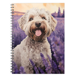Caderno Espiral Lagotto Romagnolo no campo da Lavanda