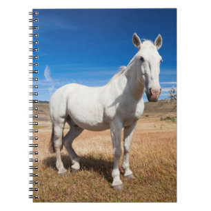 Caderno Espiral Laguna Azul, paisagem com cavalos