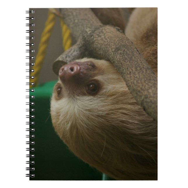 Caderno Espiral Lama (Frente)