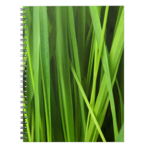 Caderno Espiral Lâminas de gramíneas