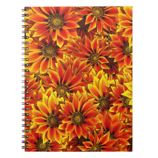 Caderno Espiral Laranja (Frente)