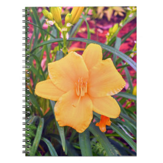 Caderno Espiral Laranja Brilhante Lily