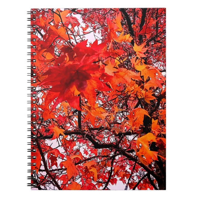 Caderno Espiral Laranja e folhas vermelhas (Frente)