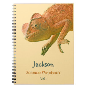 Caderno Espiral Laranja Lizard Chamada de Assunto Escolar