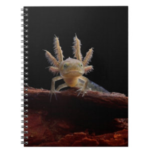 Caderno Espiral Larve com crista do newt