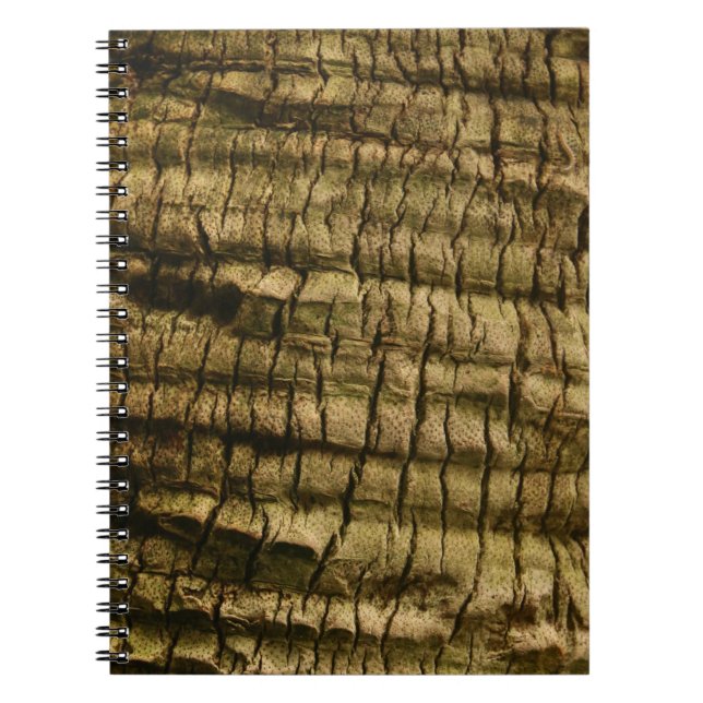 Caderno Espiral Latido Palm Tree (Frente)