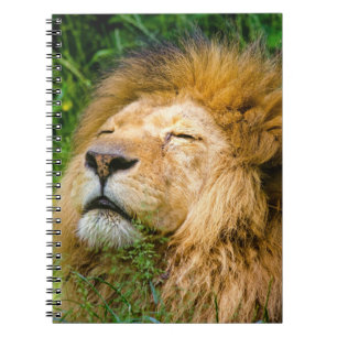 Caderno Espiral Leão