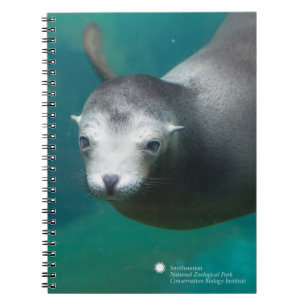 Caderno Espiral Leão de mar de Smithsonian