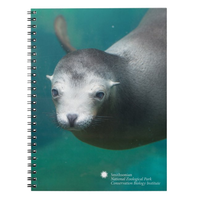 Caderno Espiral Leão de mar de Smithsonian | (Frente)